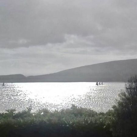 דינגל Green Garden Meets Blue Sea For 2 People מראה חיצוני תמונה